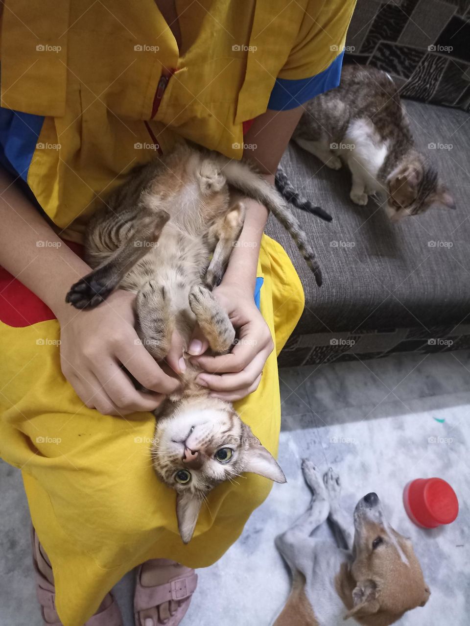 three in one frame friends