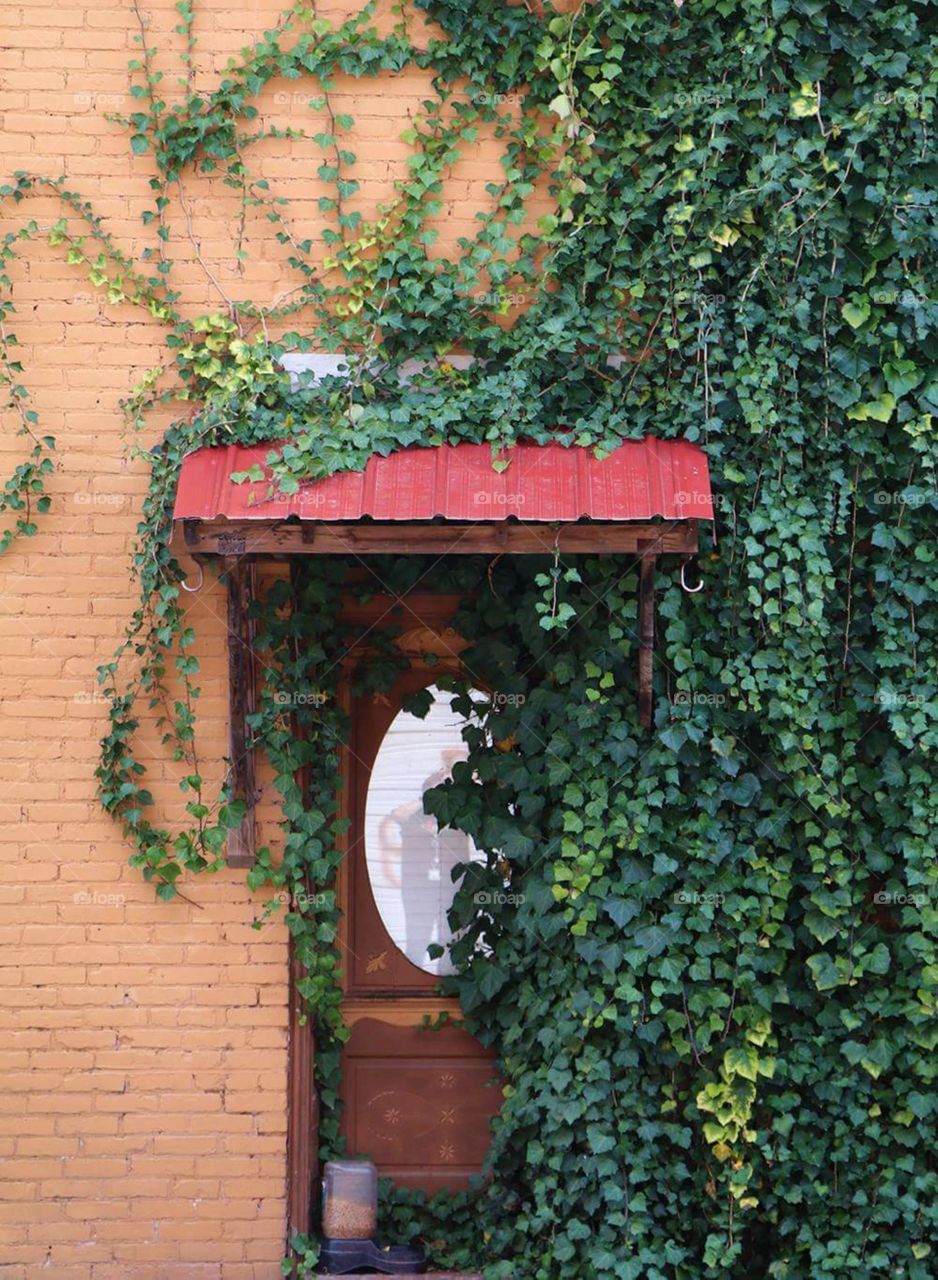 ivy vintage hidden door and canopy