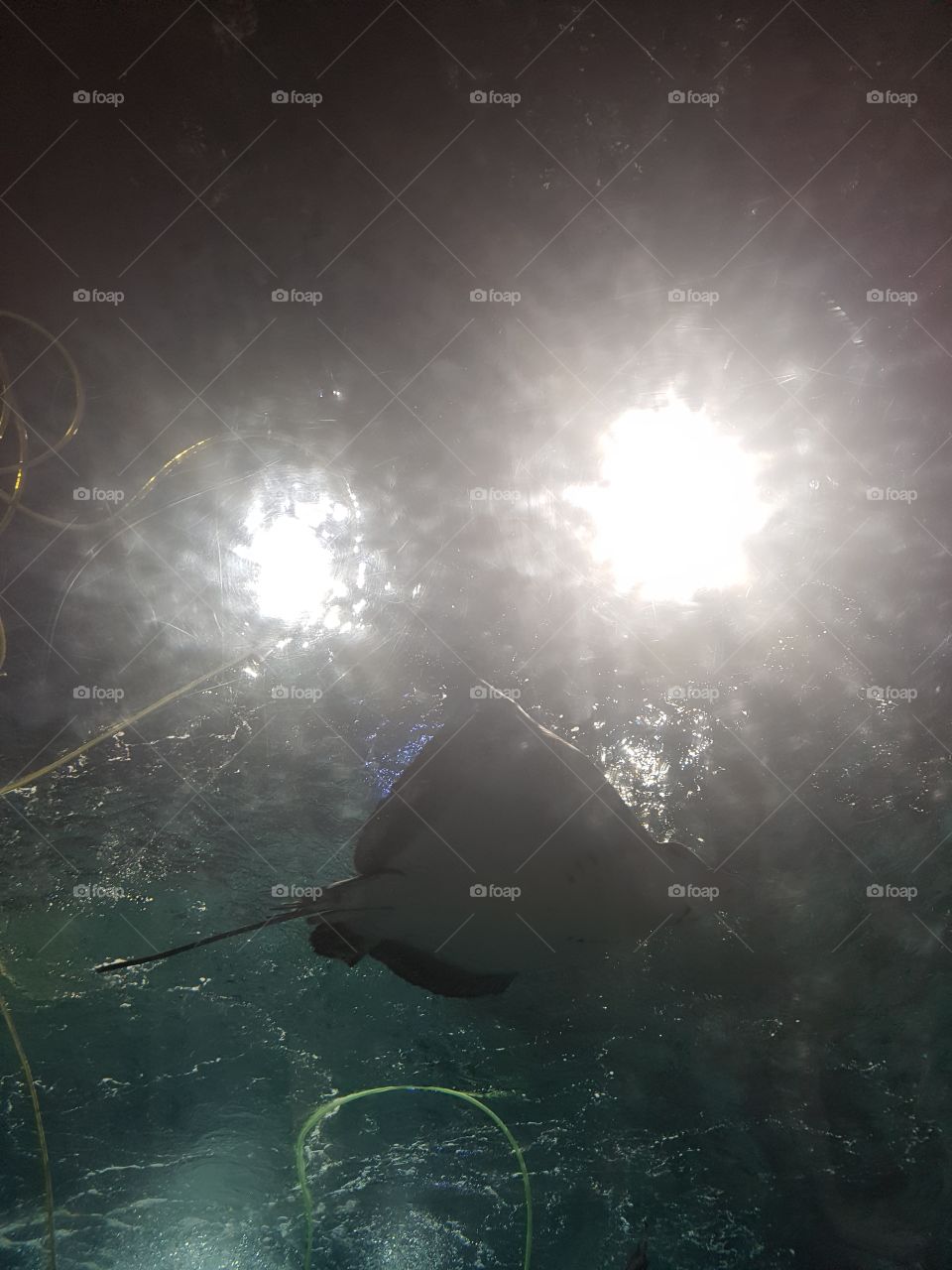 the light and the ray