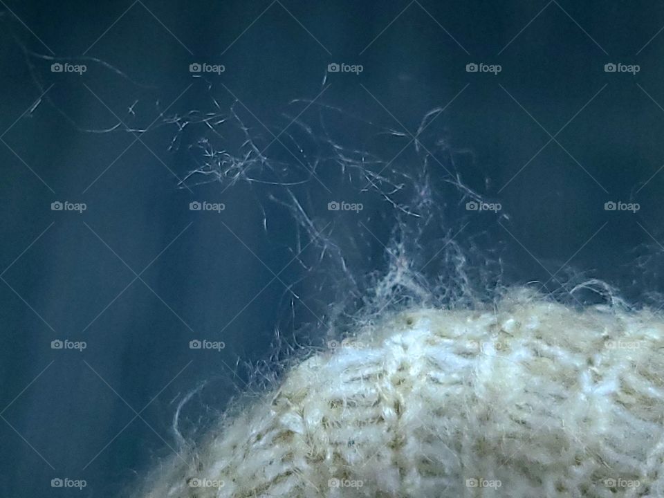 Fuzz, just fuzzy objects under an awsome camera