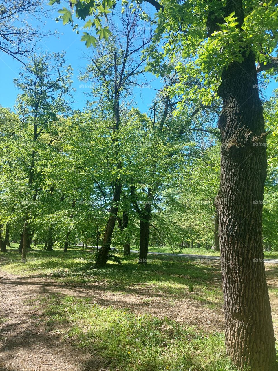 Beautiful day in Belgrade