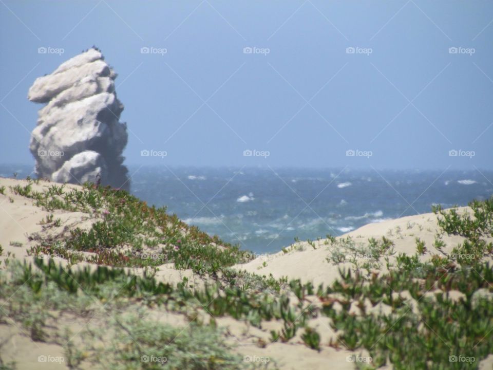 Across the dunes 