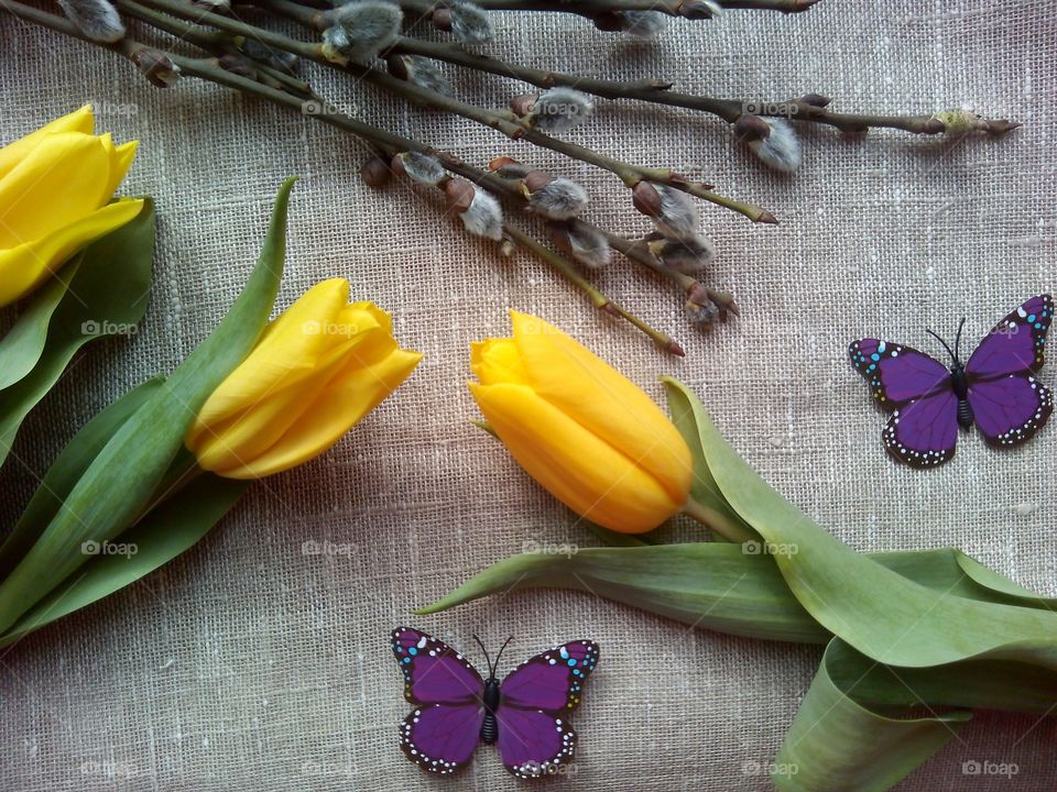 Flower, Leaf, Desktop, Flora, Nature