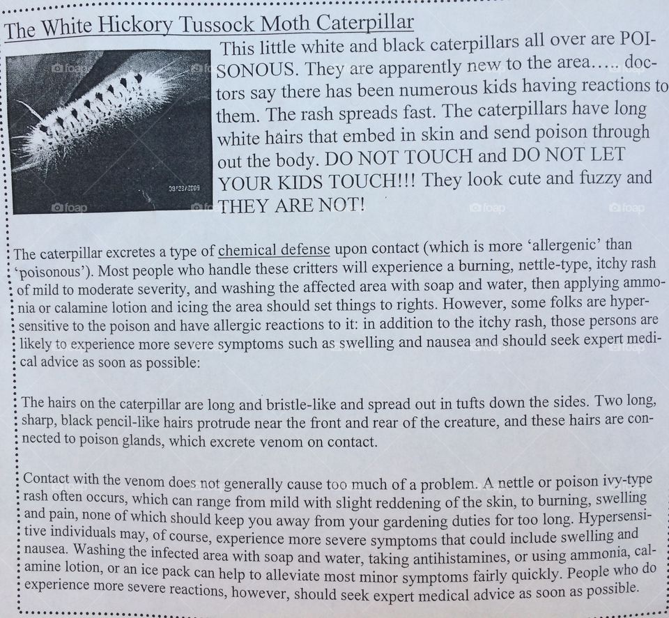 Nature's Endless Summer 