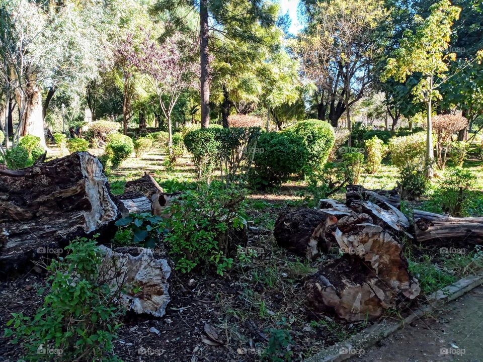 parc jnane sbil in morroco