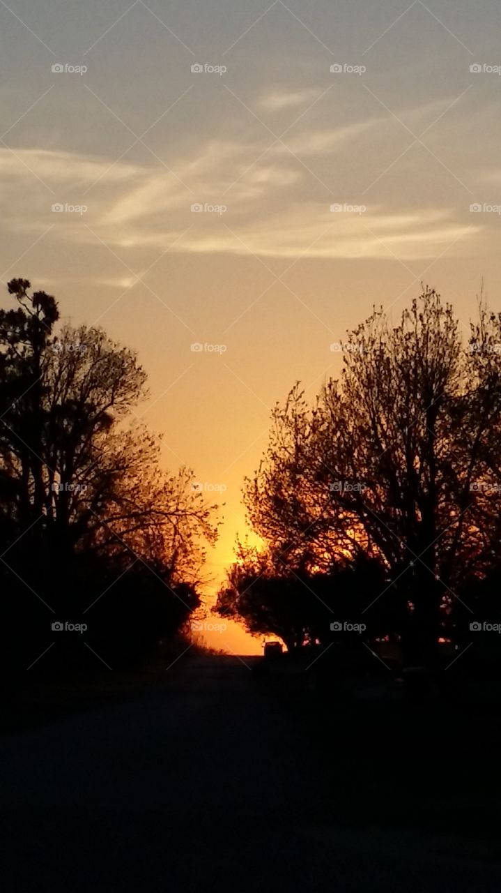 Sunset Silhouette