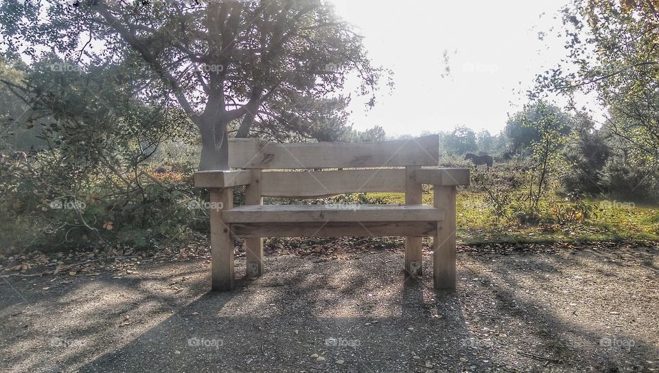 lonely seat. Snellsmore  common