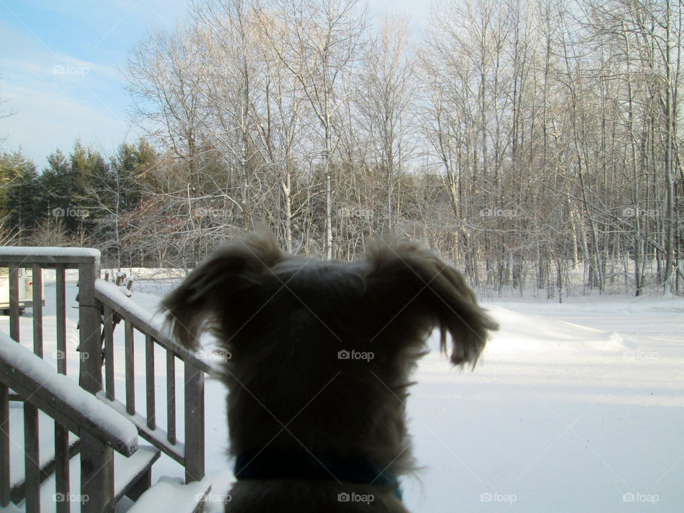 snow winter sky nature by ashley77