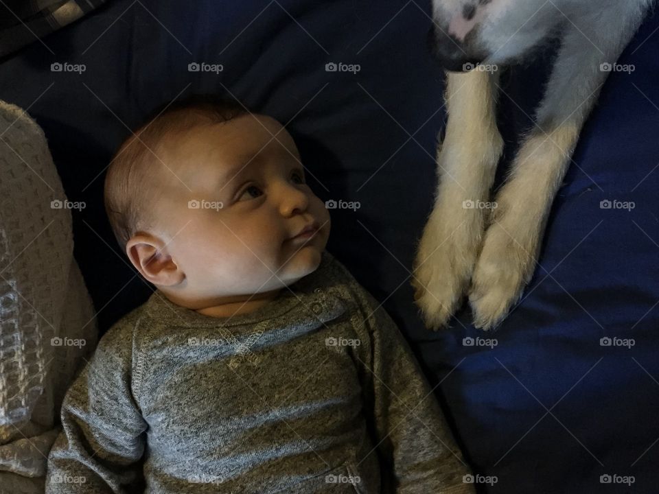 Cute baby boy looking up at his dog