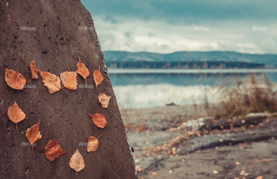 Autumn heart shape on rock