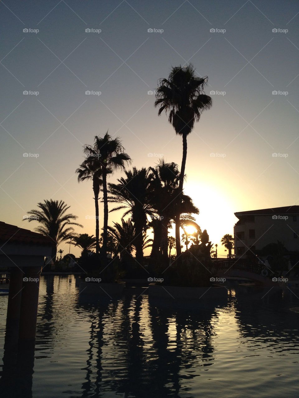 tree sunset palm hotel by gkallis23