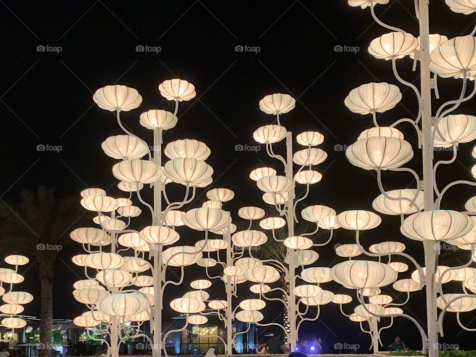 Hope alone sows happiness in our heart. 