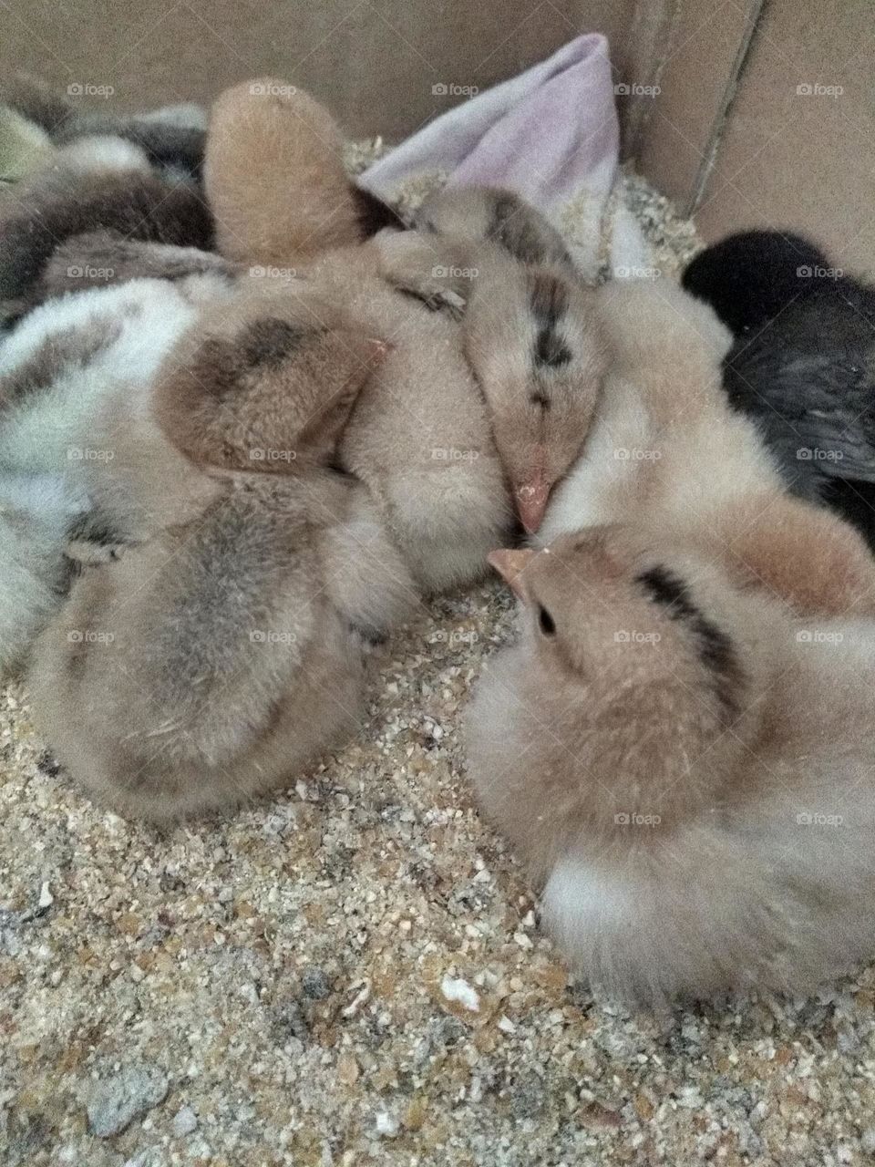 Upload your Photo of the Week