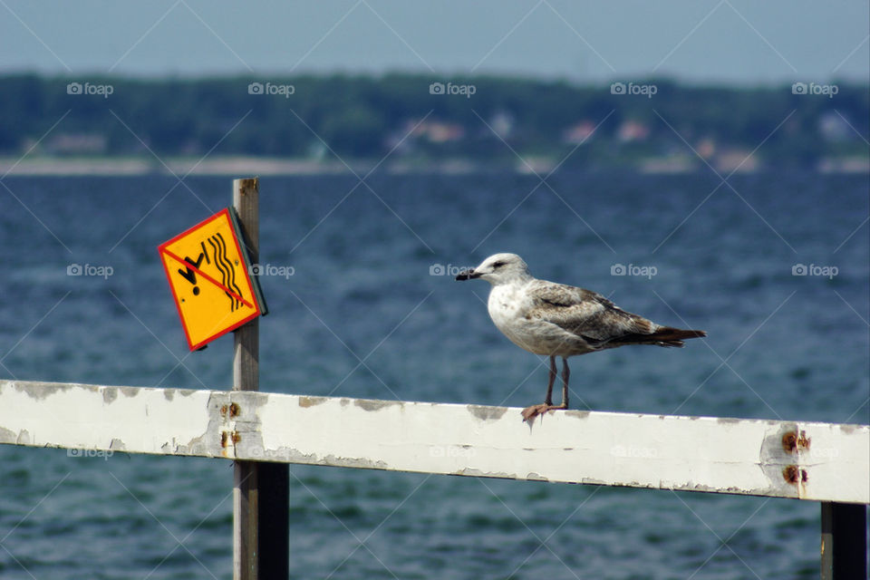 sky sweden city blue by medelis