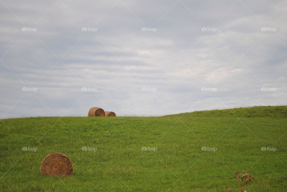 landscape sky green field by ladypoet