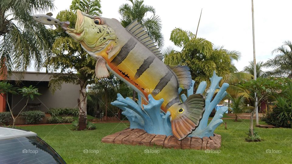 Escultura, peixe, Tucunaré, turismo