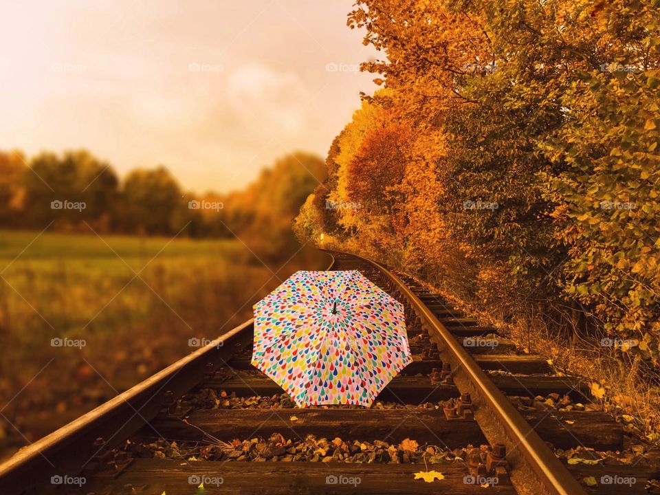 Fall, Tree, Railway, Light, Nature