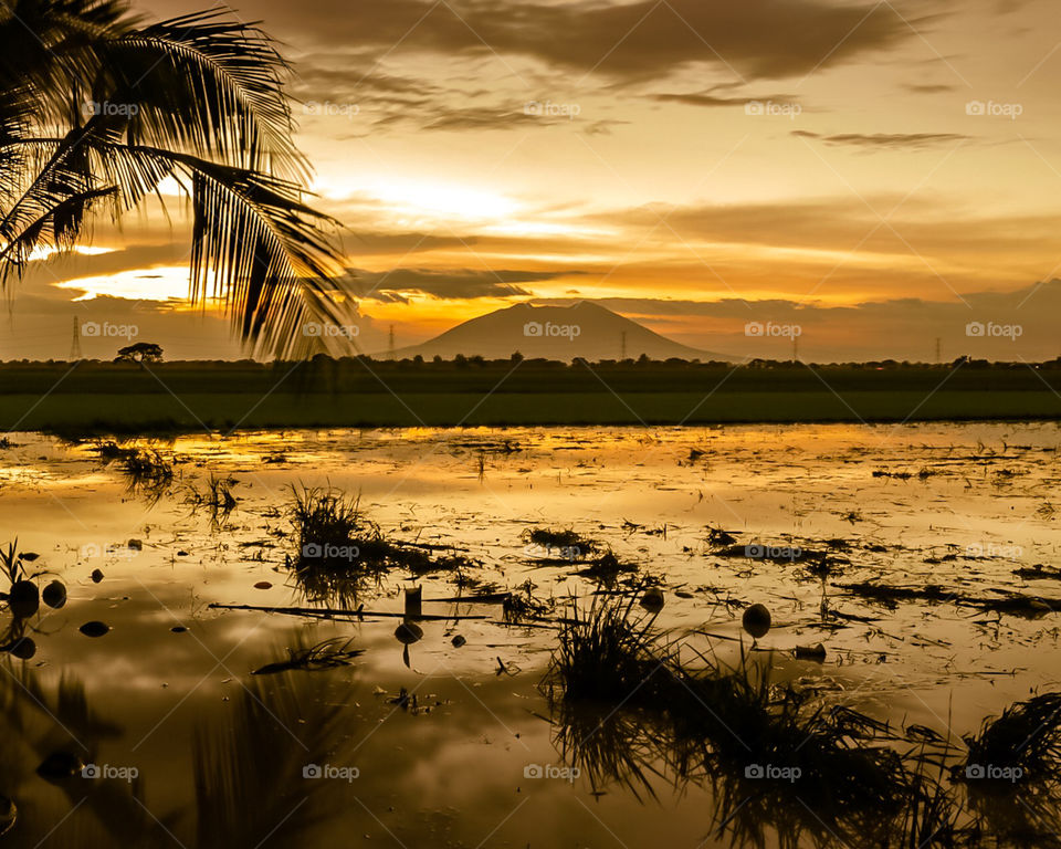 My Home Village and Our rice Farm before the Planting Seasons, at Golden Hour Time.