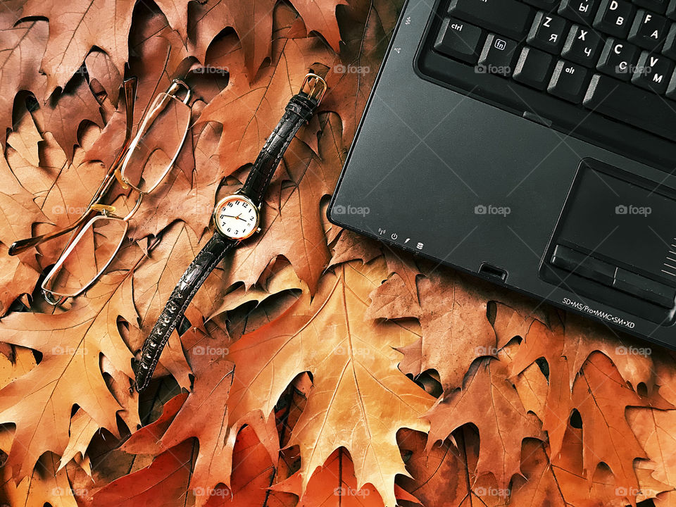 Laptop on orange autumn leaves 