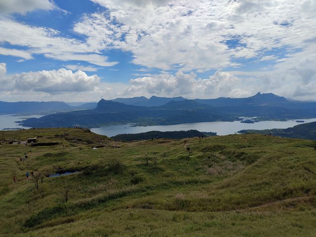 Beautiful Nature Pic. #Foap #OriginalContent #NaturalPicture