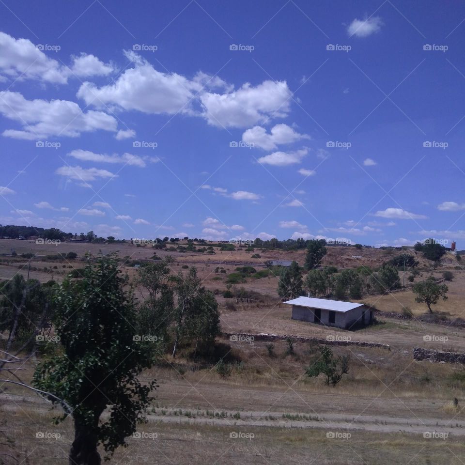 Battle: Countryside vs City