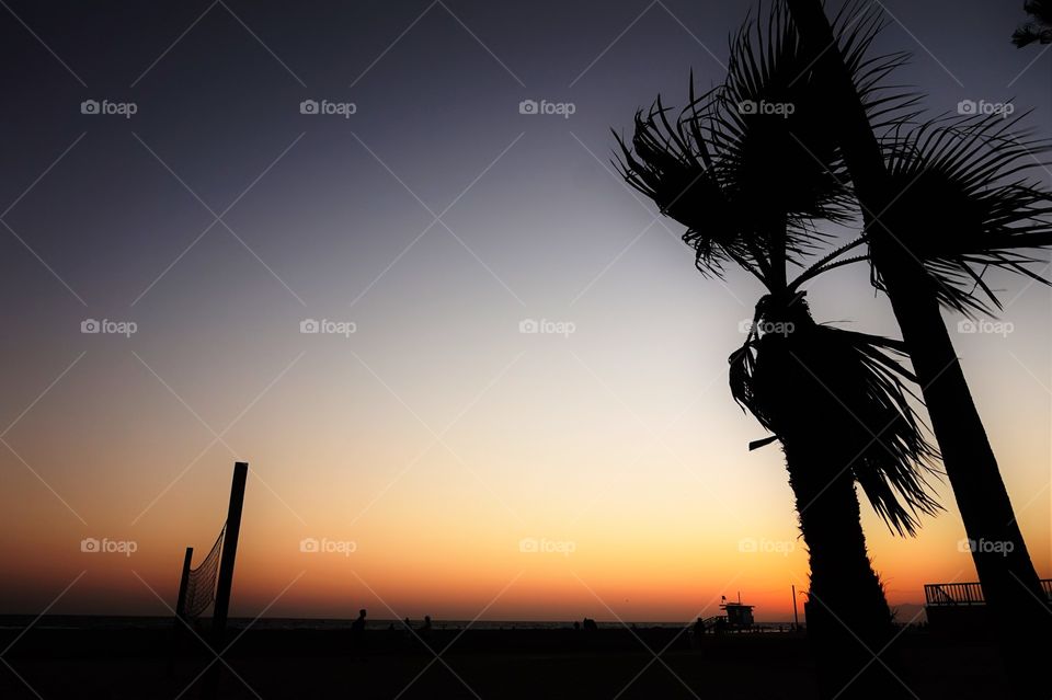 a volley net and palm on the beach at the sunset