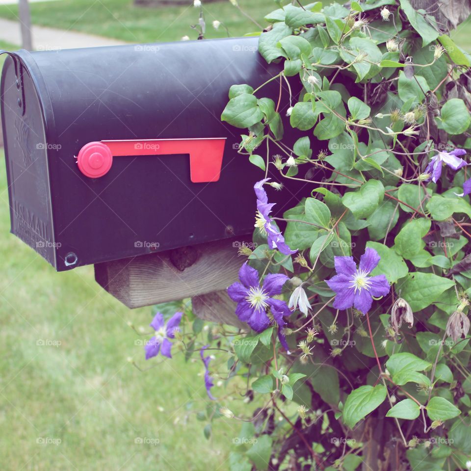 Floral Mailbox
