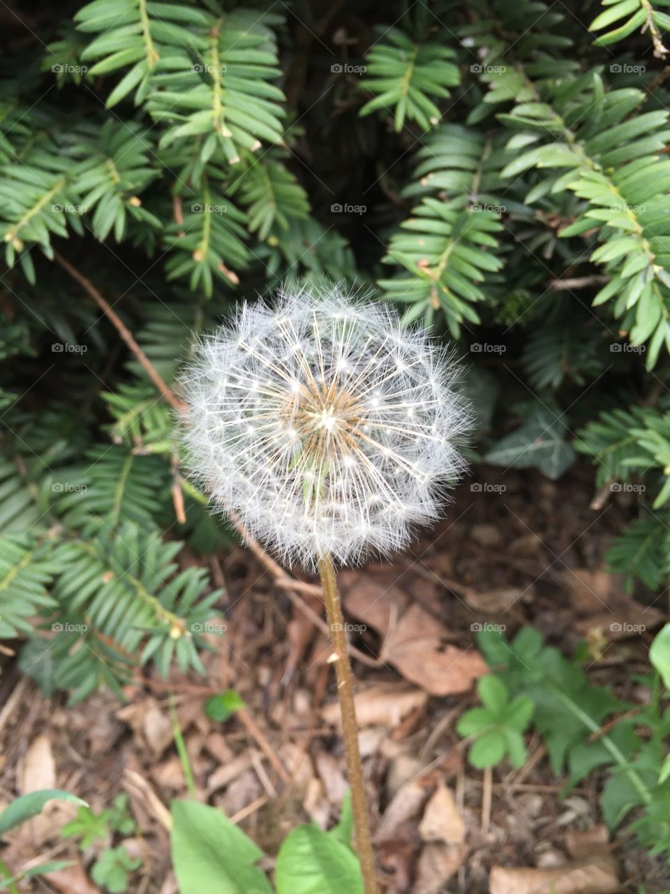 Spring 2017 is coming!