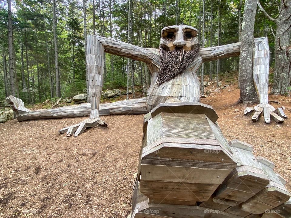 Birk, one of the trolls at the Coastal Maine Botanical Gardens.  He is the wisest of the trolls.  He is big and beautiful and blends in to his surroundings. 