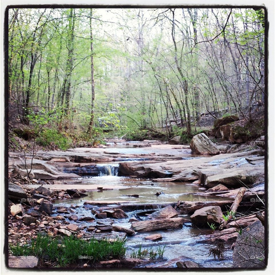 Creek in Sumter National Forest