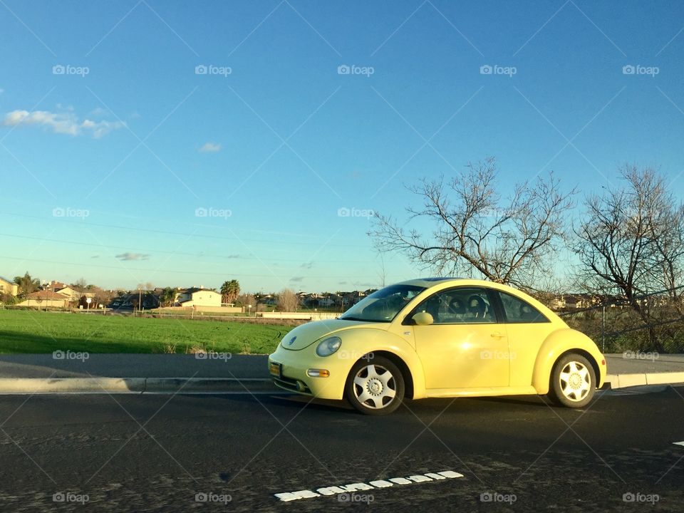 Yellow Beetle 