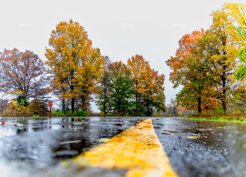 rainy fall day captured from the center of the road