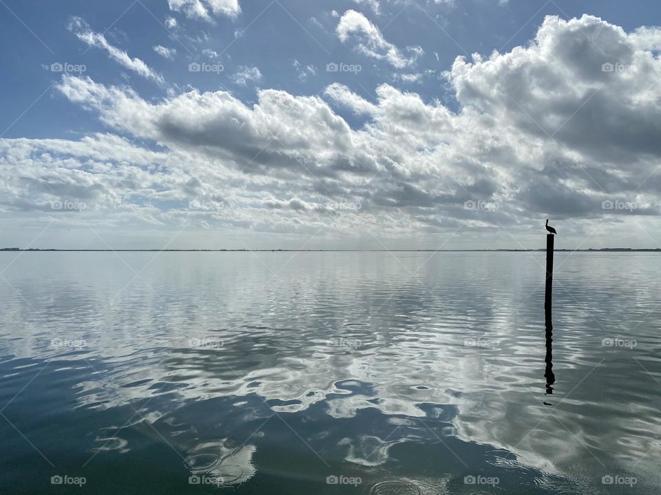 Reflections of clouds in calm water and a pelican sitting on a wooden post