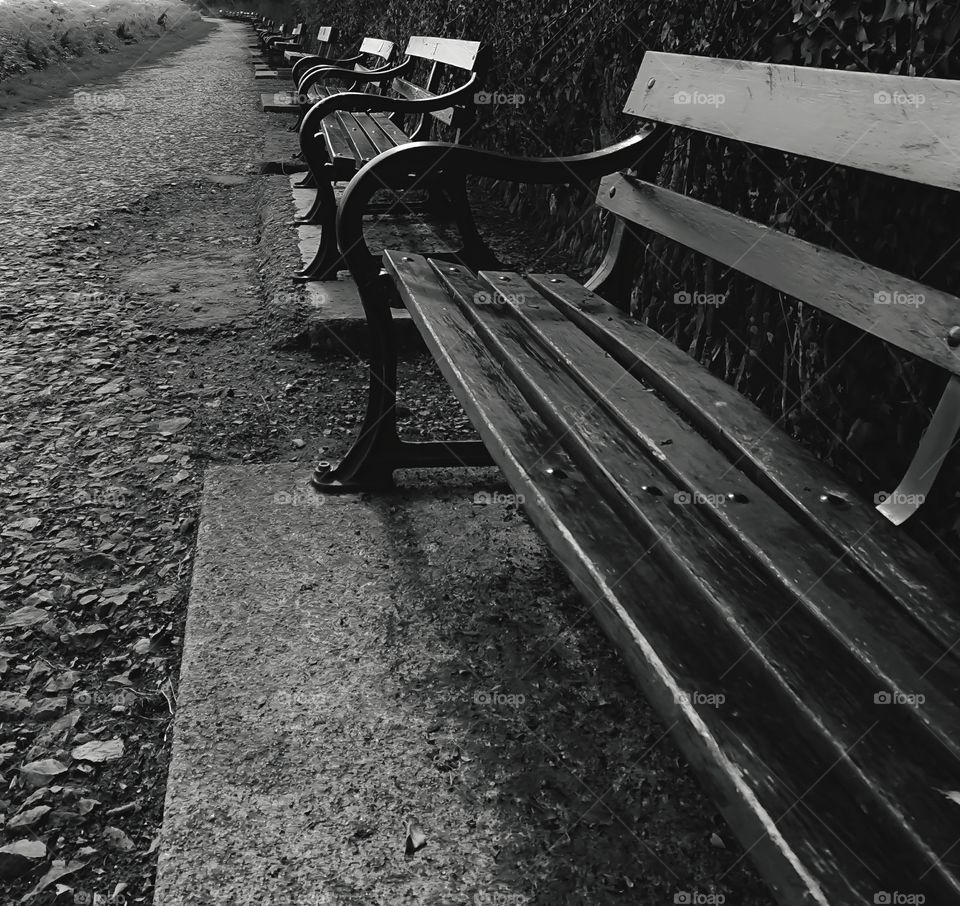 Row of Park Benches