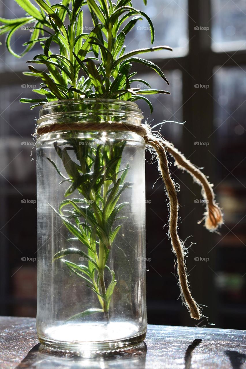 Rosemary Jar
