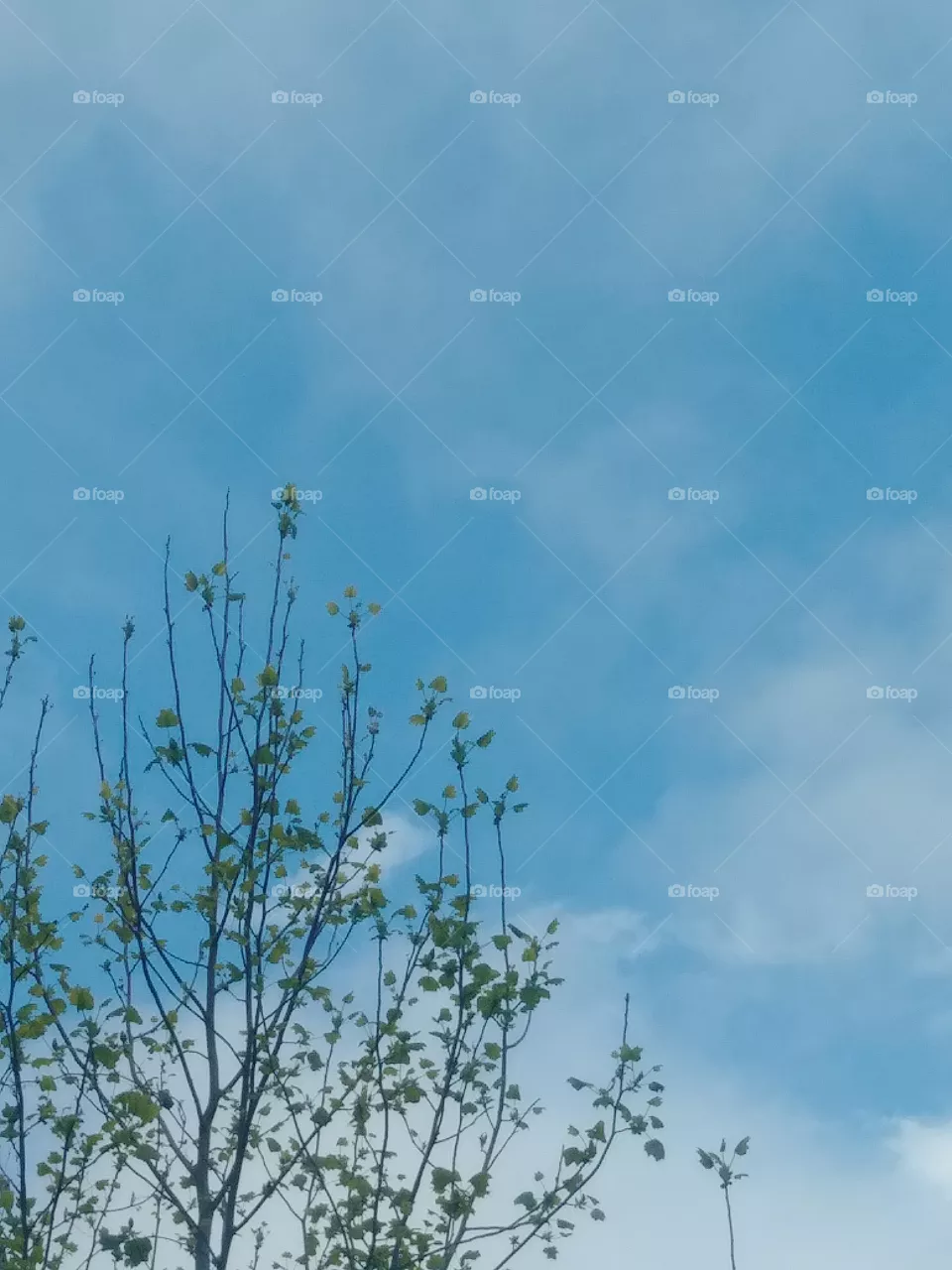 sky