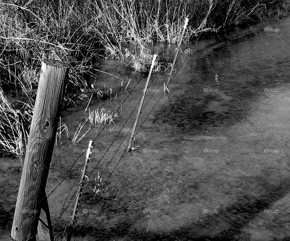 Wooden and metal fencing and fence posts frozen amongst the reeds in a pond in rural Central Oregon on a cold winter day. 