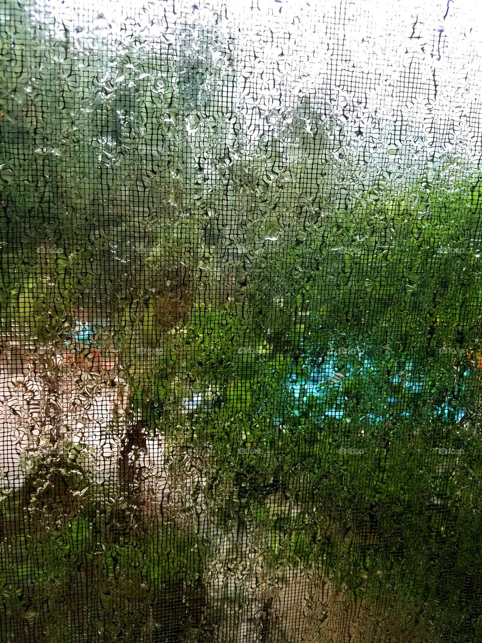 Rain through the window screen