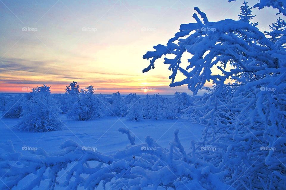 Early morning red-yellow sunrise, silence, freshness, frost, winter, north. Aurora borealis night.