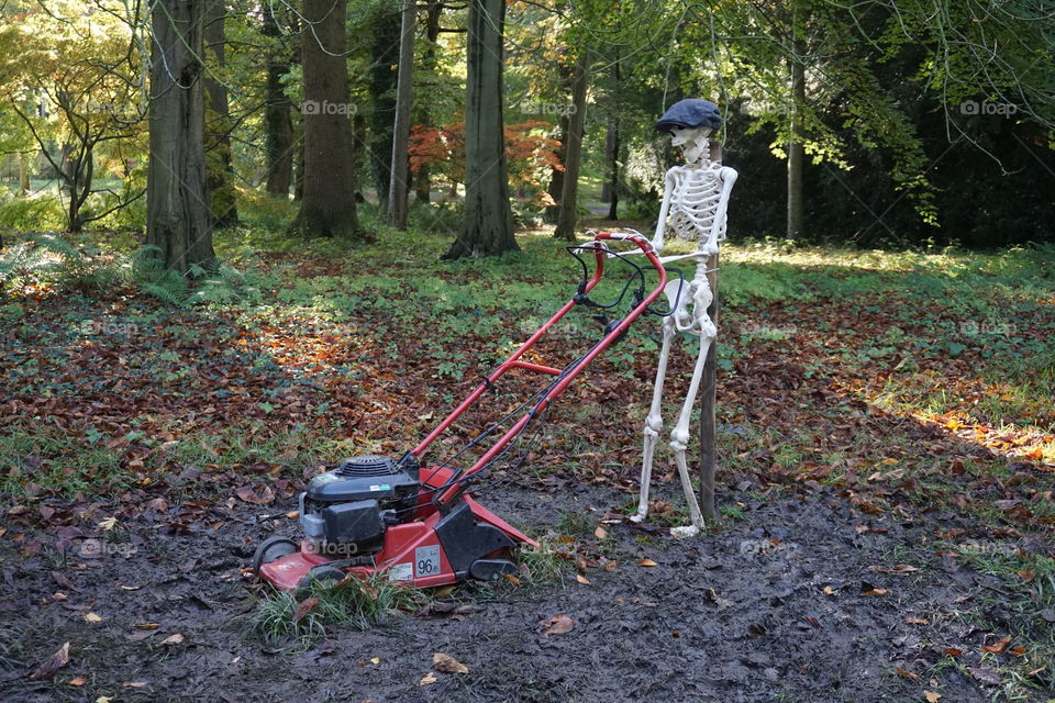 Skeleton cutting the grass in the forest 😂 Halloween decorations 🎃