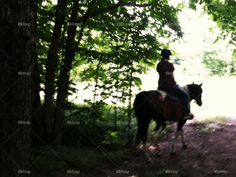 Horseback riding through the forest