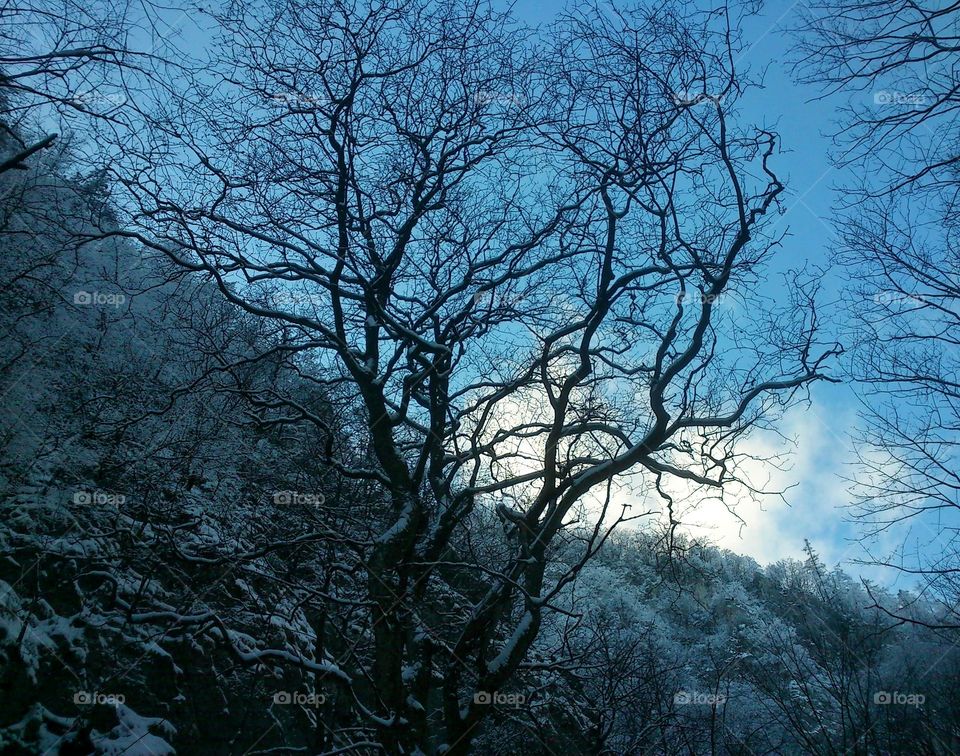 Scenic view during winter