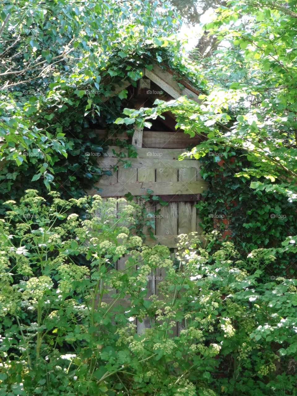 Overgrown gate