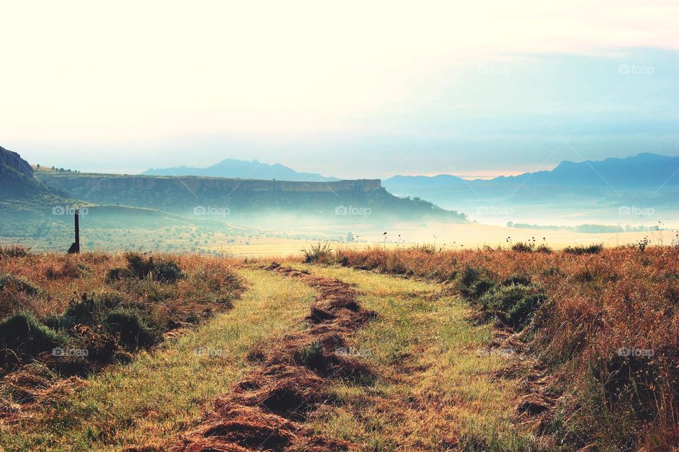 misty morning, fouriesburg south africa