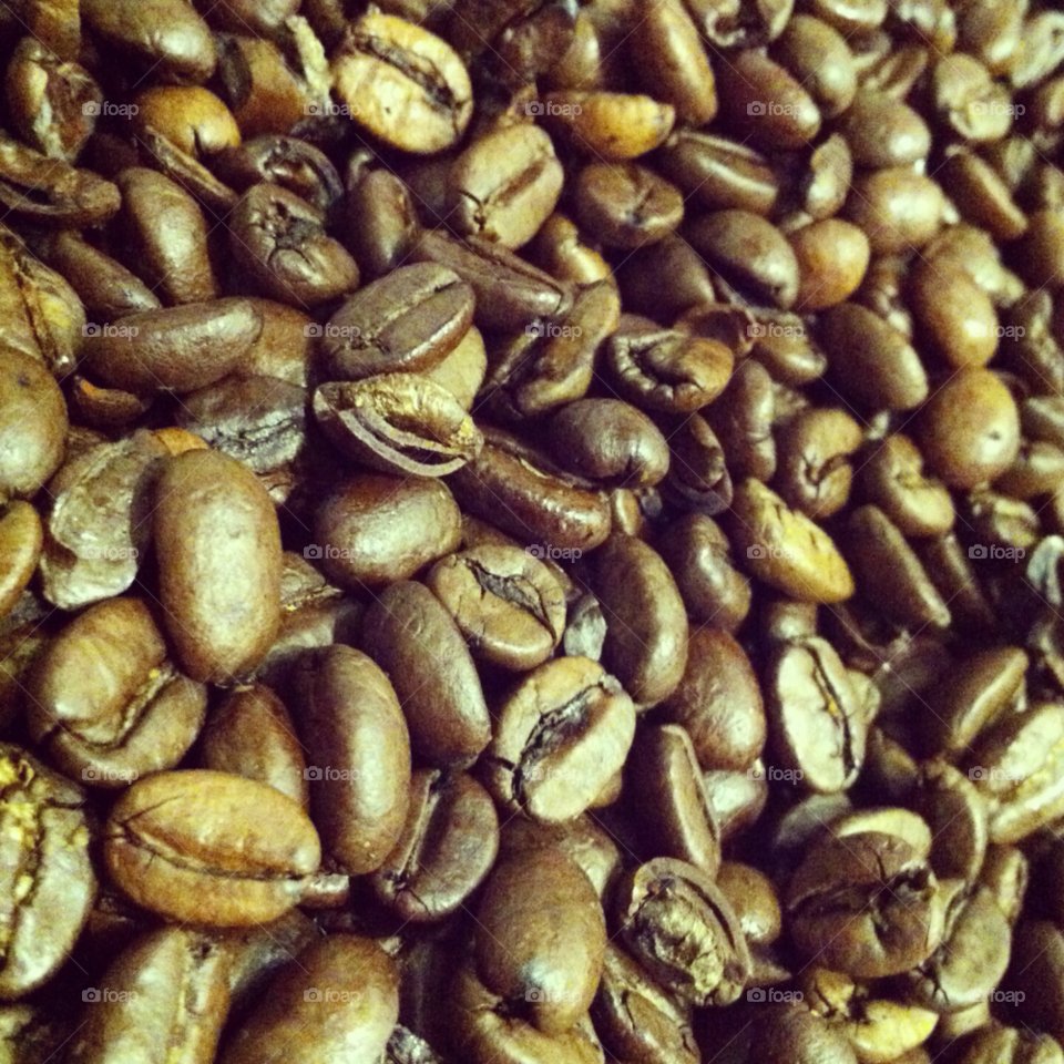 Seed, Food, Desktop, Batch, Closeup