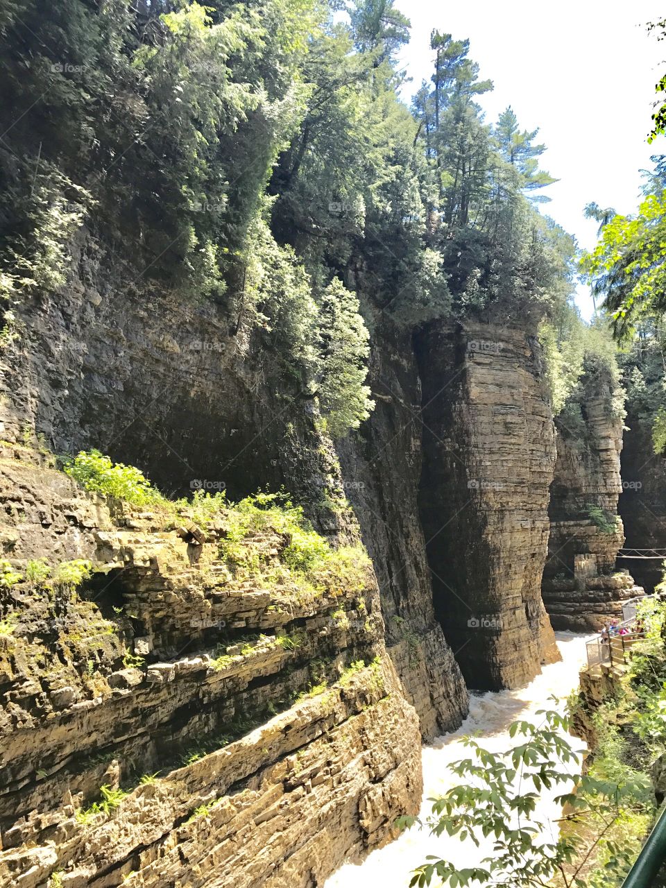 Ausable chasm 