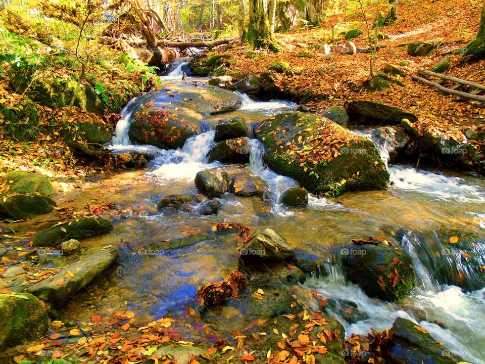 Rocks and river covered in autumn leaves