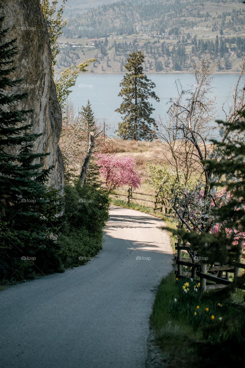 Beautiful Wlinding Country Road Toward Lake in the spring