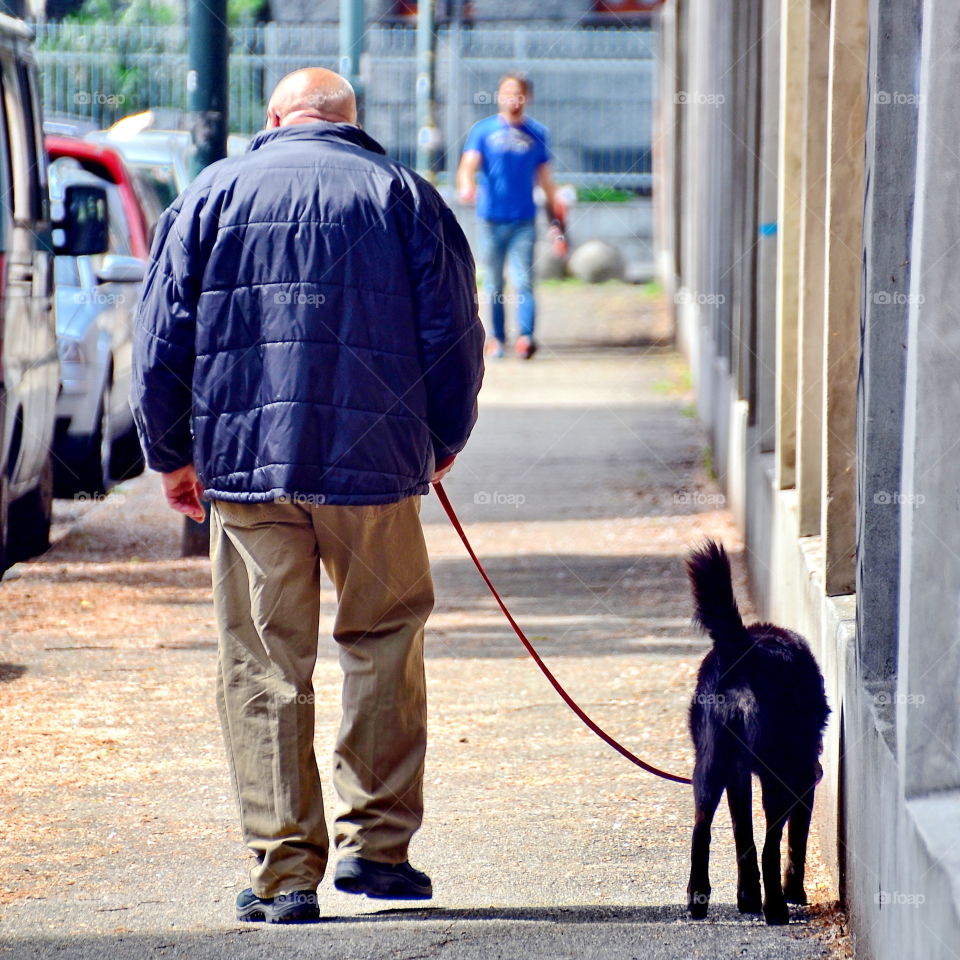 a man with a dog in the street