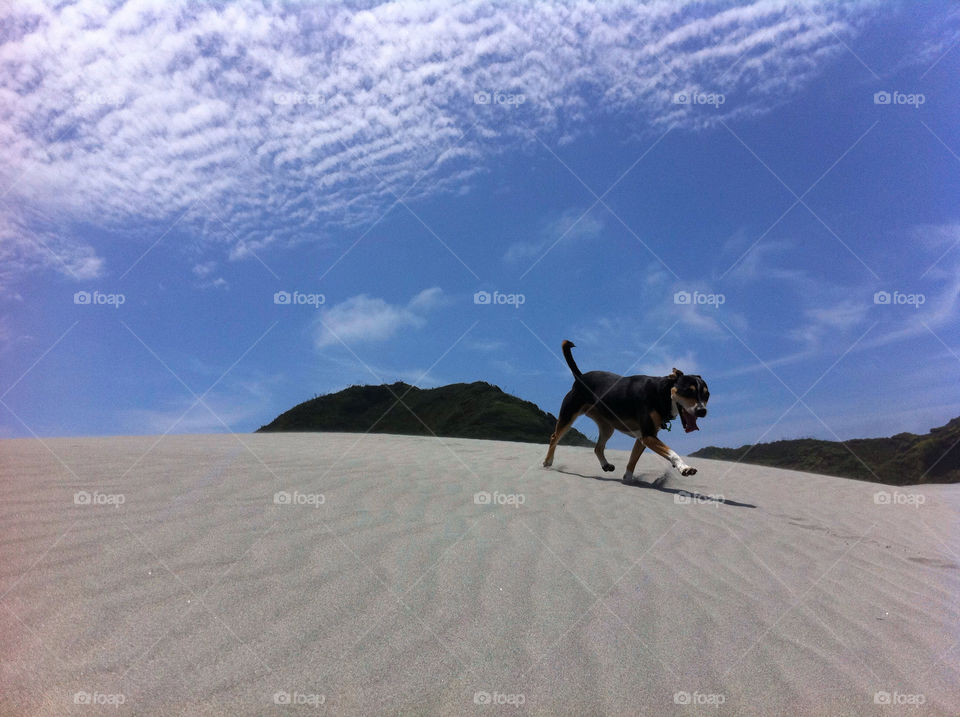 beach sky happy blue by tomrobbarber
